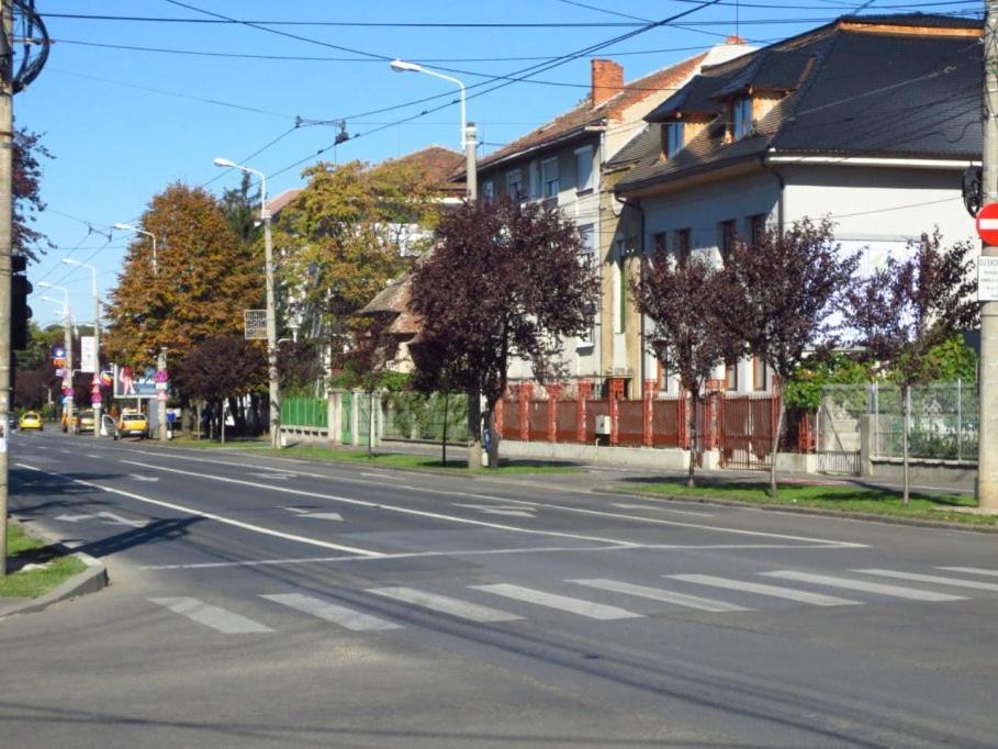 Tim Medina * Timisoara